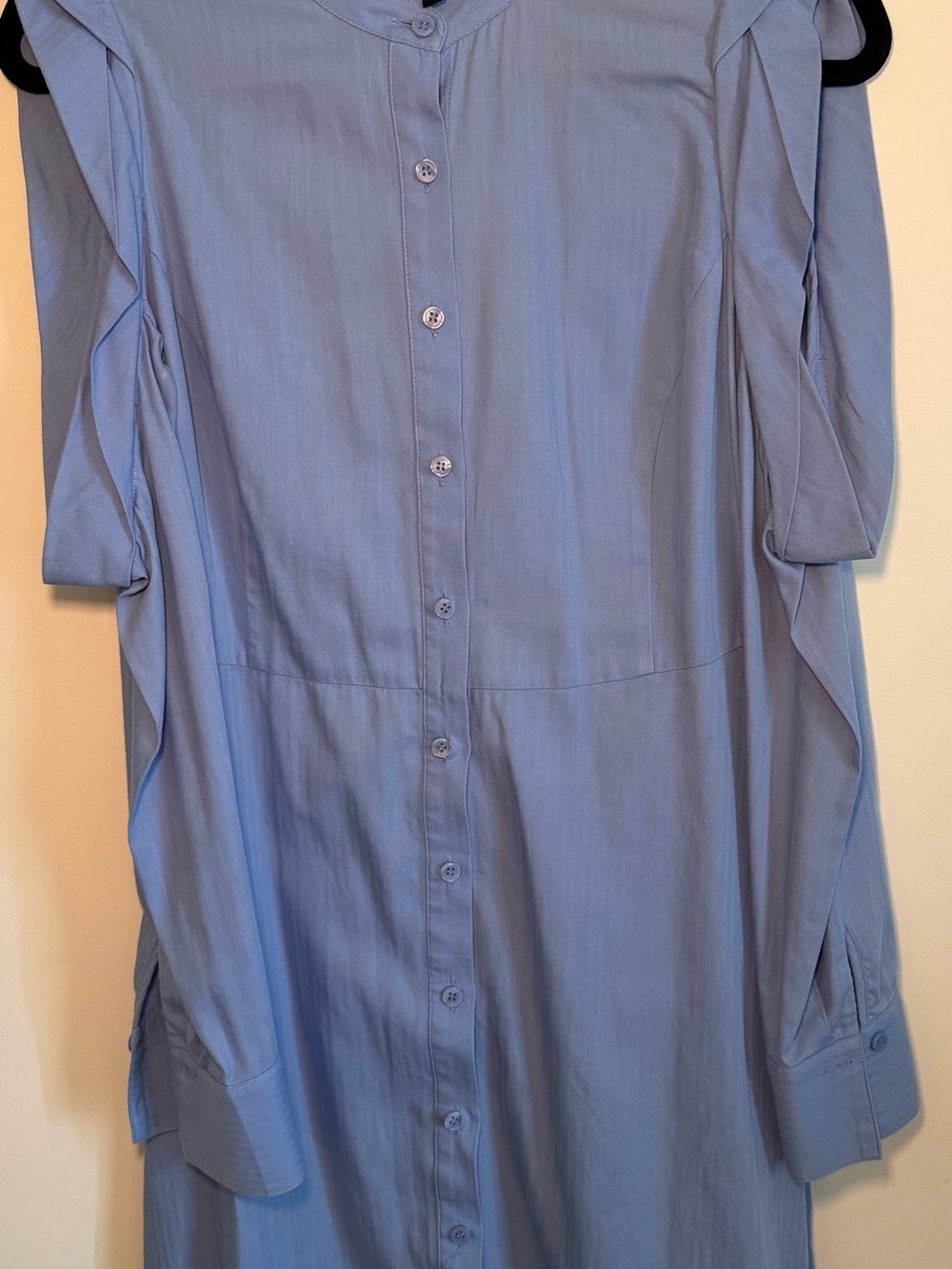 BCBGMaxAzria Light Blue Casual Button-Down Shirt